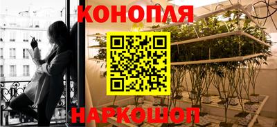 гидропоника Пенза